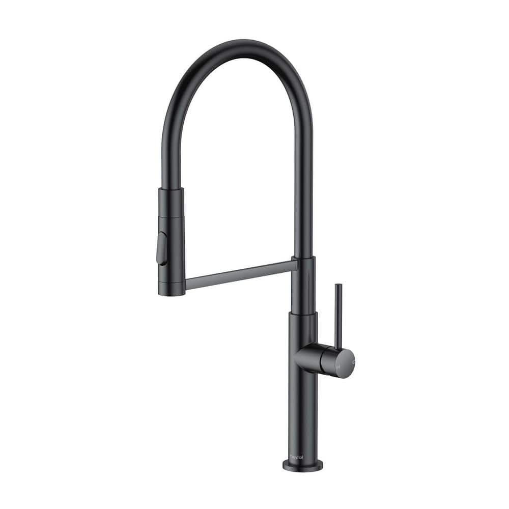 Flynama Single Handle Pull Out Sprayer Kitchen Faucet With Advanced   Matte Black Pull Out Kitchen Faucets Jx 1626130670 64 1000 