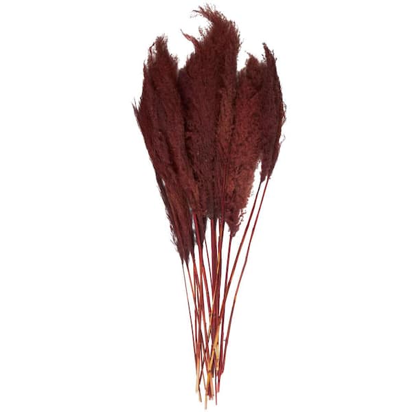 Litton Lane 43 in. Pampas Grass Natural Foliage with Long Stems (1 Bundle)