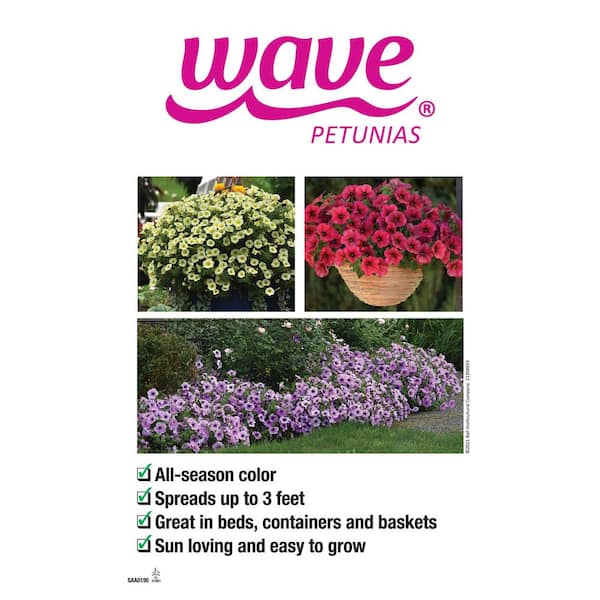 1 25 Gal Multicolor Easy Wave Petunia Annual Plant With Assorted Color Flowers In Hanging Basket 14690 The Home Depot