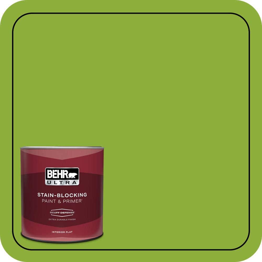 1 qt. #420B-6 New Green Extra Durable Flat Interior Paint & Primer price history on PriceWatchPro