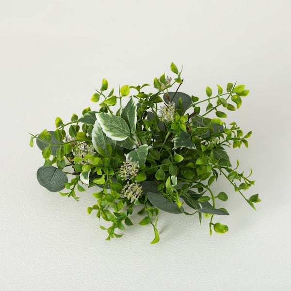 SULLIVANS 6 in. Variegated Foliage Mix Orb; Green