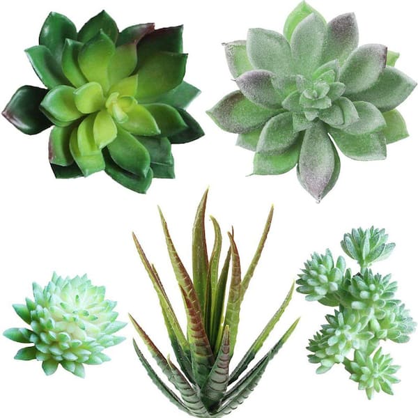 2.85 in. 20 Piece Green Assorted Indoor Outdoor Artificial Succulent Plant  Set Faux Aloe Cactus Echeveria Picks 59B1124C1946 - The Home Depot