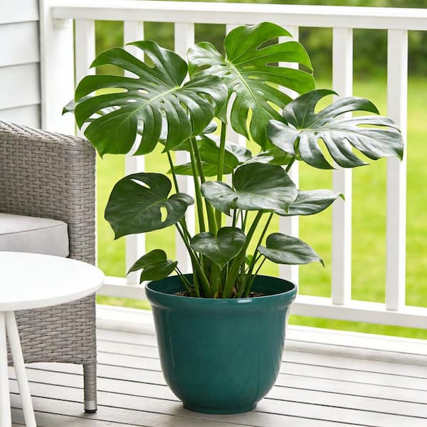 Felecia Large Green Teal Resin Round Planter Lightweight (16 in. L x 16 in. W x 16 in. H)(2‑Pack)