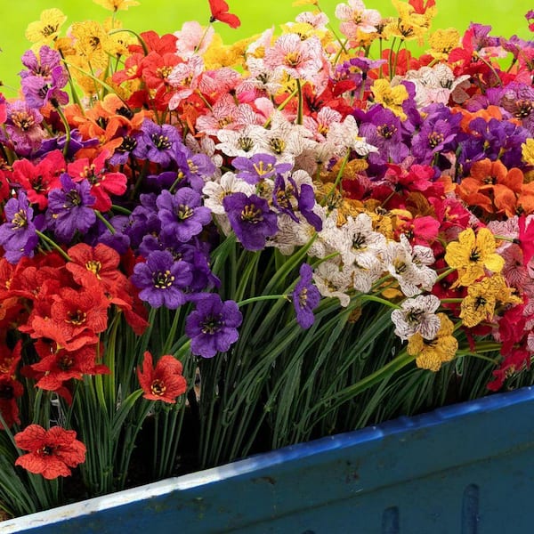 13 in. Multi-Colored 24-Bundles Artificial Other Flowers for