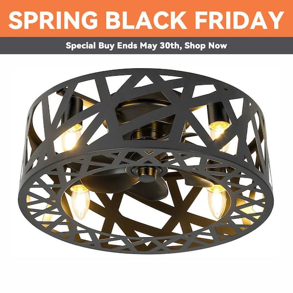 ARISKEEN 18 in. Indoor Black Ceiling Fan with Lights and Remote, Flush Mount Fan, 6-Speed Caged Ceiling Fan (Bulbs not Included)