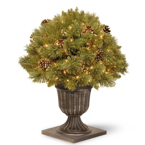 National Tree Company 2.2 ft. Glittery Gold Pine Porch Artificial Bush with Clear Lights