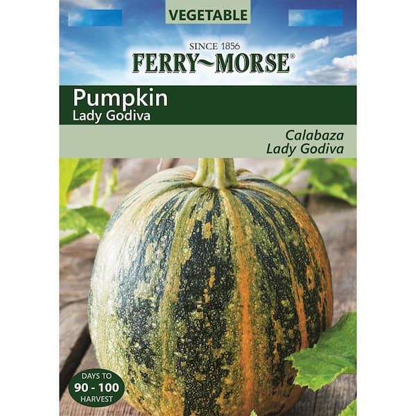 Pumpkin Lady Godiva Seed