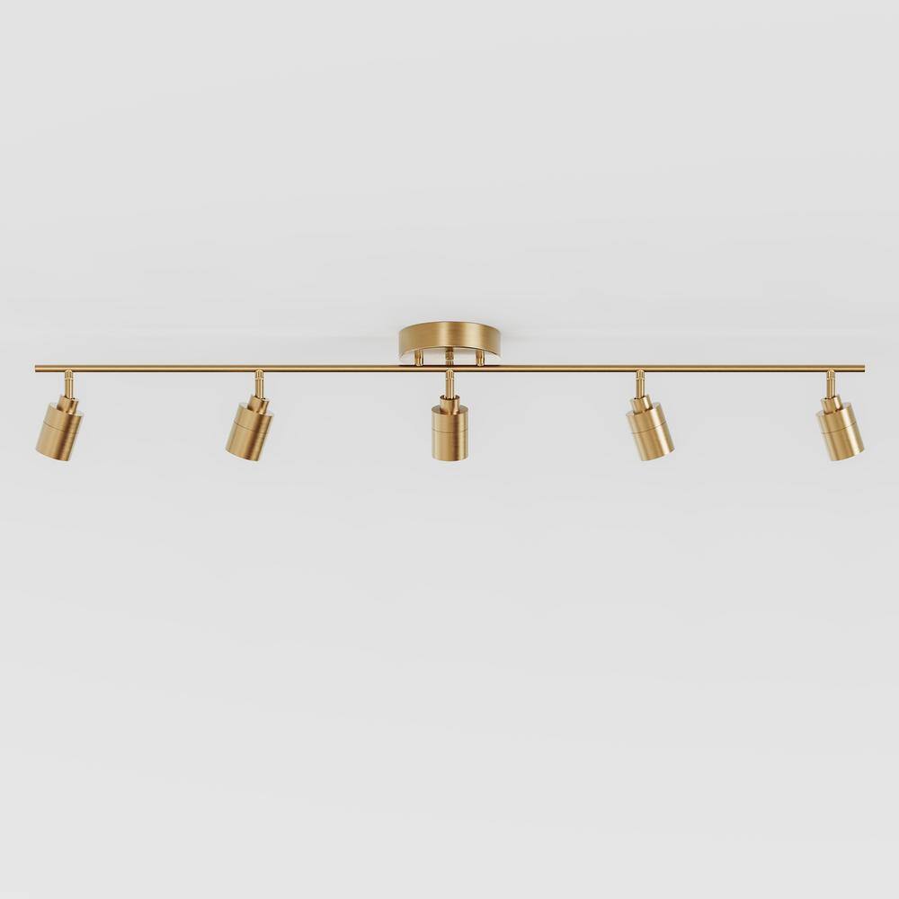 Shura 48" Brushed Brass LED Track Light with Adjustable Heads