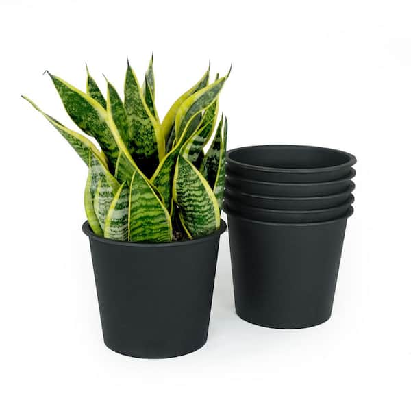 花瓶 SRL  DEN-5X CE-PLANT POT BLACK FITS ALL SRL DEN-5X / CE-PLANT POT BLACK black-plant-pots-ptov9318b-