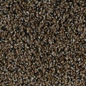Captain  - Harmony - Brown 35 oz. SD Polyester Texture Installed Carpet