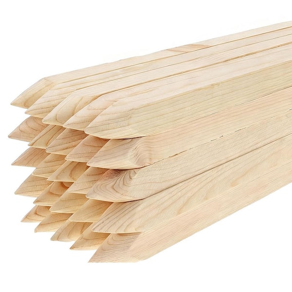 3 ft. Wooden Garden Plant Support Grade Stakes Fence Survey Boundaries (50-Pack)