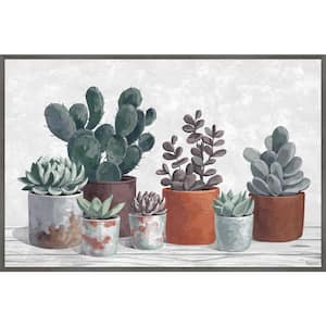 "Succulent Clay Pots" by Parvez Taj Floater Framed Canvas Nature Art Print 24 in. x 36 in.