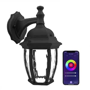 1-Light Black LED Smart WiFi Outdoor Wall Lantern Sconce with Multi CCT, Dimmable Single-Pack