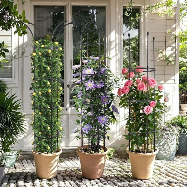 Phewnyzo 6.6 ft. Tall Rustproof Coated Metal Garden Obelisk Trellis for  Climbing Plants 28E179SA17