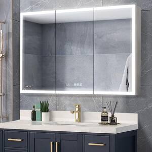 ExBrite 48 in. W x 32 in. H Silver Aluminum Recessed/Surface Mount ...