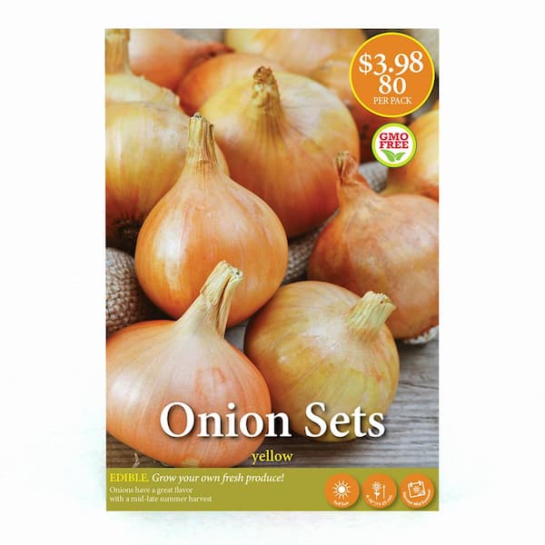 Onion Sets Triple Pack