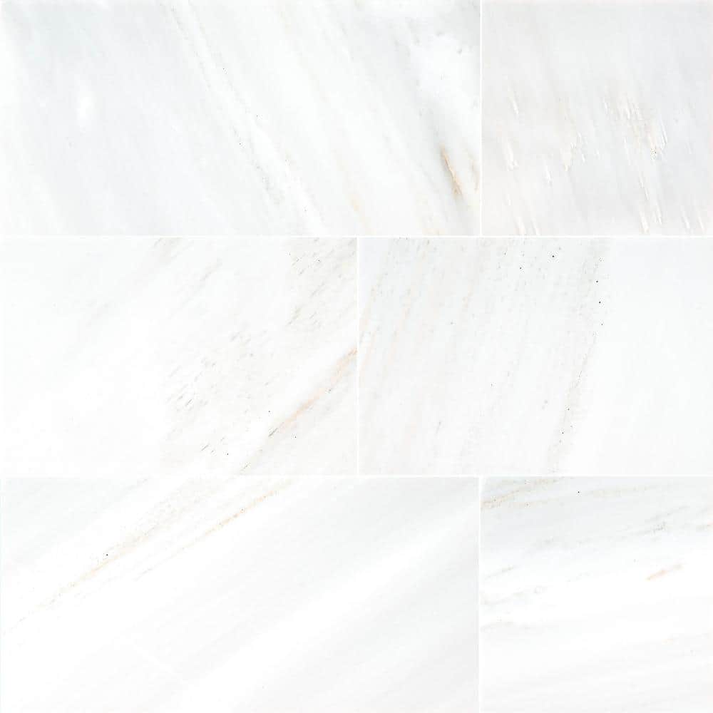 Greecian White 12 in. x 24 in. Polished Marble Floor and Wall Tile (10 sq. ft./Case) price history on PriceWatchPro