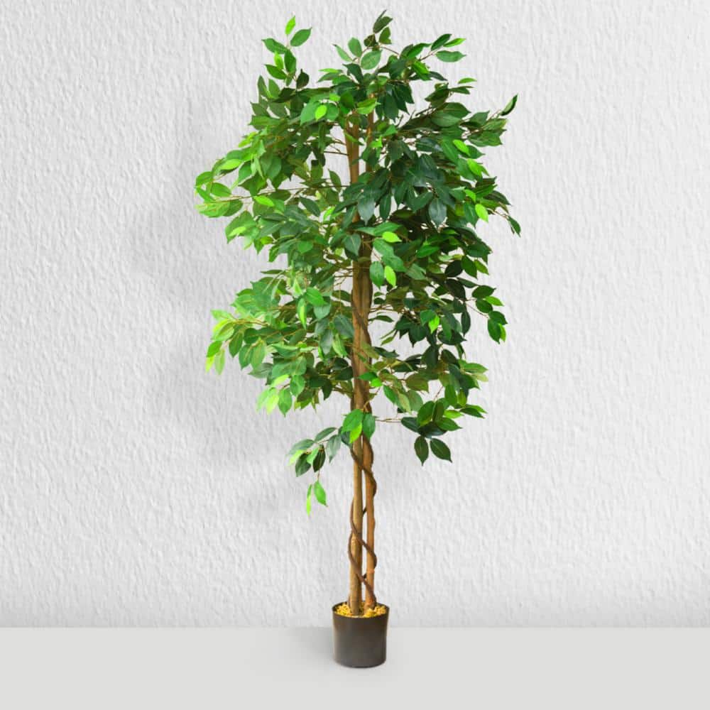 72" Tall Artificial Ficus Silk Tree in Black Pot