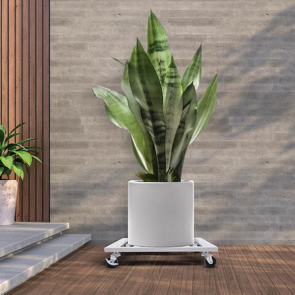 Square Stand ホワイト YIYIBYUS 16 in. White Square-Shaped Rolling Plant Stand