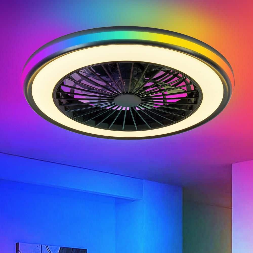 19 in Flush Mount 6-Blade Black RGB Ceiling Light with Fan LED Standard Fan Light Infinitely Dimmable for Living Room price history on PriceWatchPro