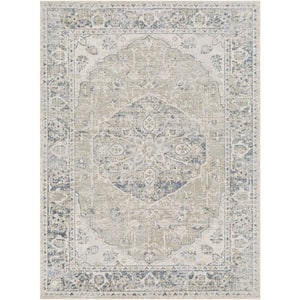 Lillian Sky Blue/Light Grey Doormat 2 ft. x 4 ft. Indoor Machine-Washable  Area Rug