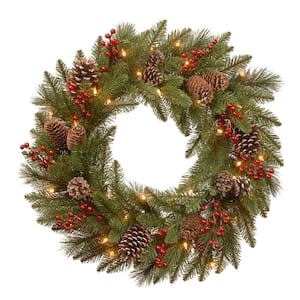 24 in. PreLit Feel Real Bristle Berry Artificial Christmas Wreath with 50 Warm White Battery-Operated LED Lights
