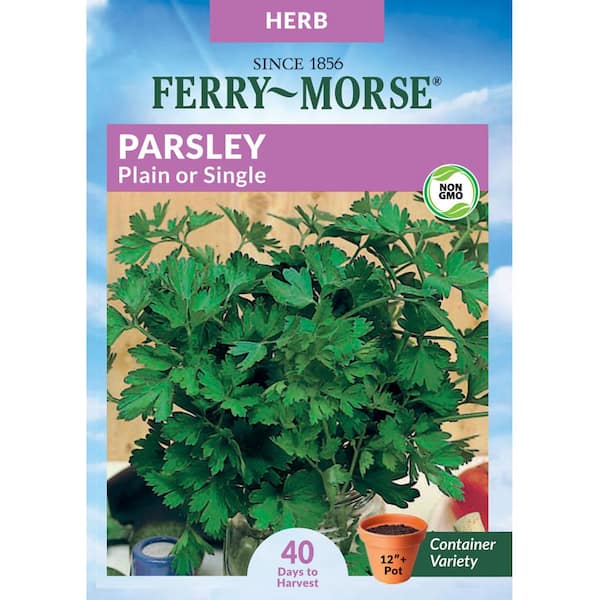 Parsley Plain or Single Herb Seed