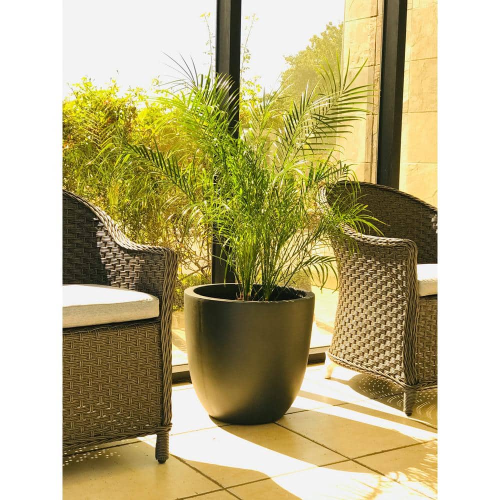 Charcoal Round Concrete Indoor/Outdoor Planter Pot 16.93"