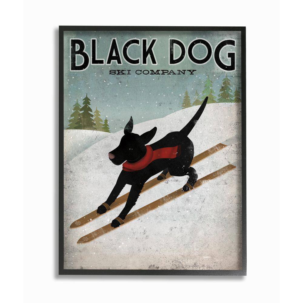Black Dog Ski Company Winter Sports Pet Sign by Ryan Fowler Framed Animal Wall Art Print 16 in. x 20 in. price history on PriceWatchPro