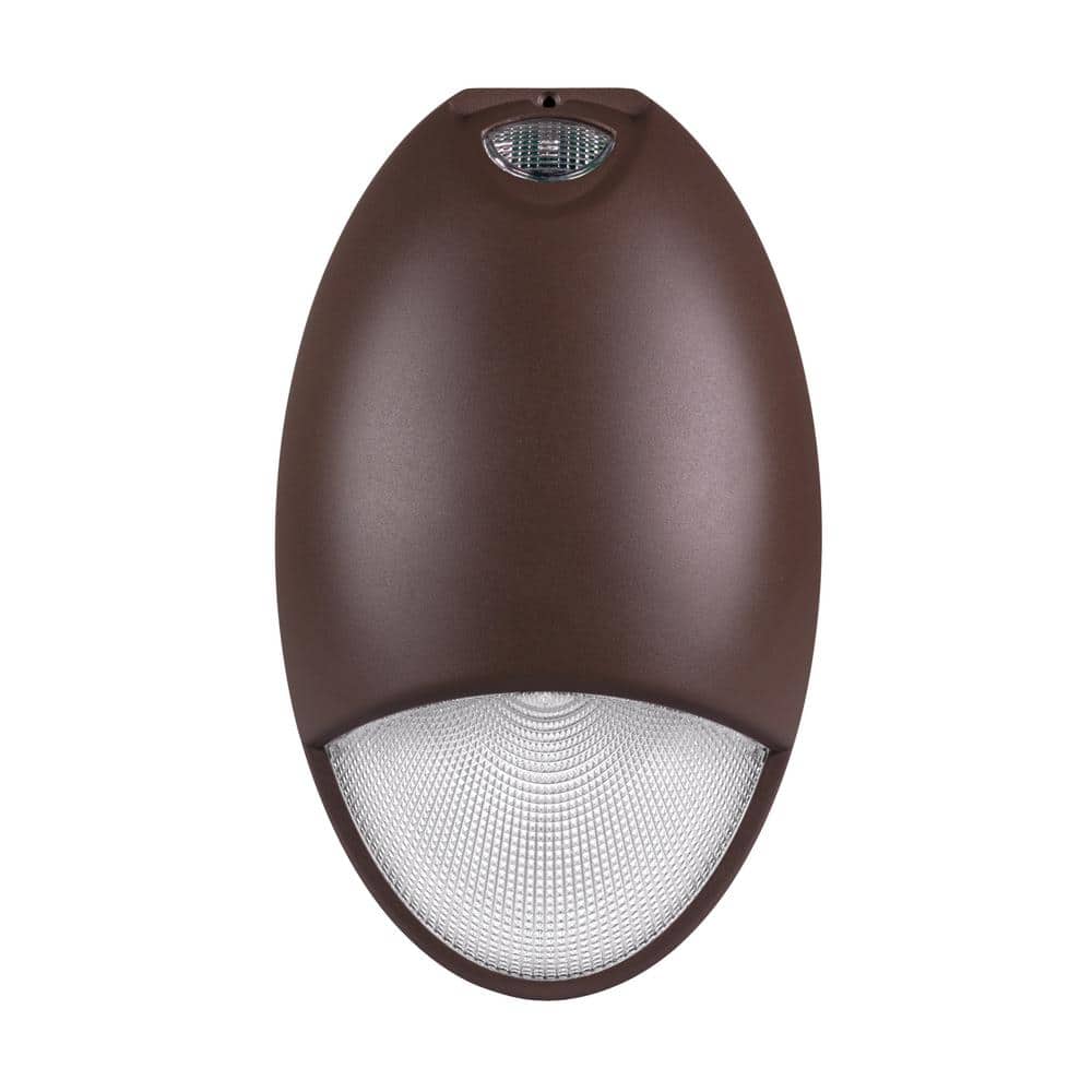 Bronze Matte Outdoor LED Teardrop Wall Light with Photocell