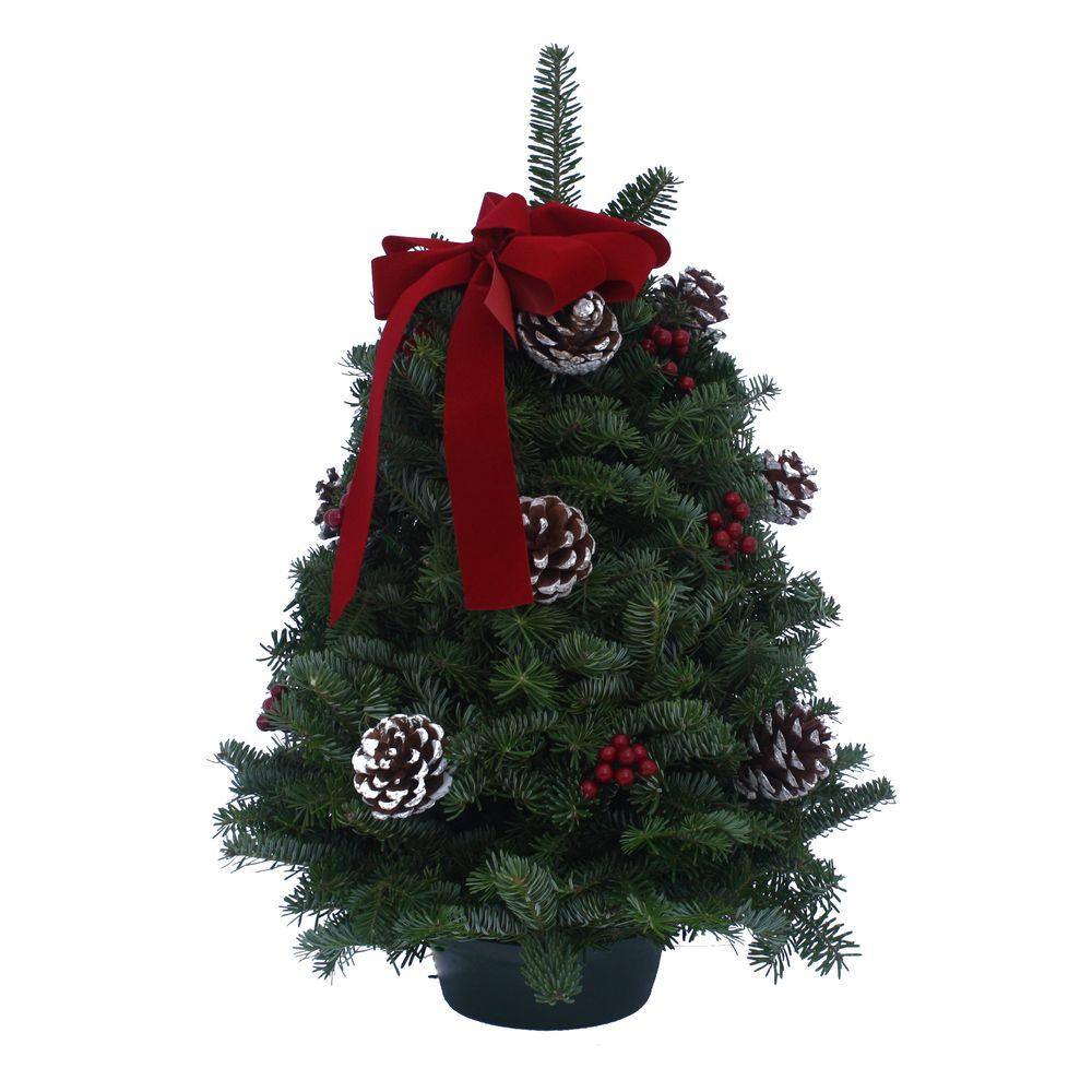 Worcester Wreath 18 in. Balsam Classic Fresh Tabletop Tree Arrangement