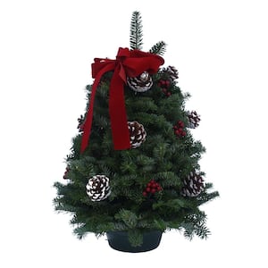 18 in. Balsam Fir Classic Fresh Tabletop Tree Arrangement : Multiple Ship Weeks Available