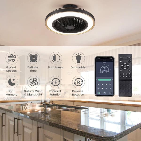 20 in. Indoor Black Modern Low Profile Ceiling Fan with LED Light Caged Enclosed Ceiling Fan with Remote and APP Control