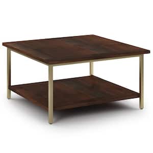 Skyler 34 in. Dark Brown/Gold Square Mango Wood Top Coffee Table with Shelf