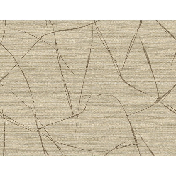 Seabrook Designs 60.75 sq. ft. Beige Davenport Sketch Embossed Vinyl Unpasted Wallpaper Roll