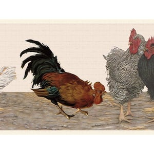 Falkirk Dandy II Brown White Black Chickens Nature Peel and Stick Wallpaper Border