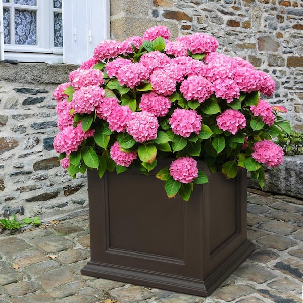 Fairfield 28 in. Square Espresso Polyethylene Planter