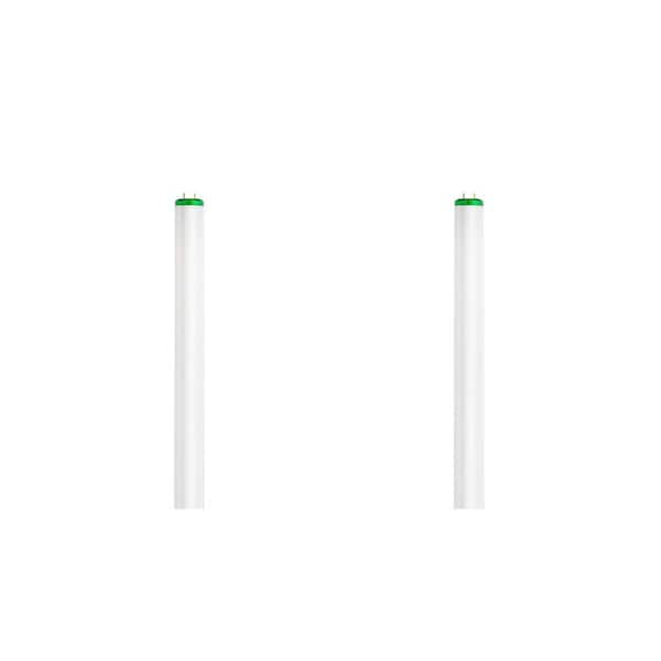 Philips 60-Watt 8 ft. Linear T12 Fluorescent Tube Light Bulb Natural Daylight (2-Pack)