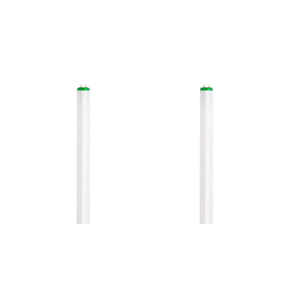 32-Watt 4 ft. Linear T8 Fluorescent Tube Light Bulb, Bright White (2-Pack)
