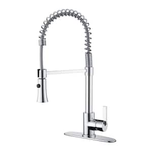 Euro Spring Spout Single-Handle Pull-Down Sprayer Kitchen Faucet w/Accessories Rust and Spot Resist in Polished Chrome