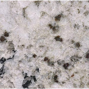 3 in. x 3 in. Granite Countertop Sample in Biscotti White