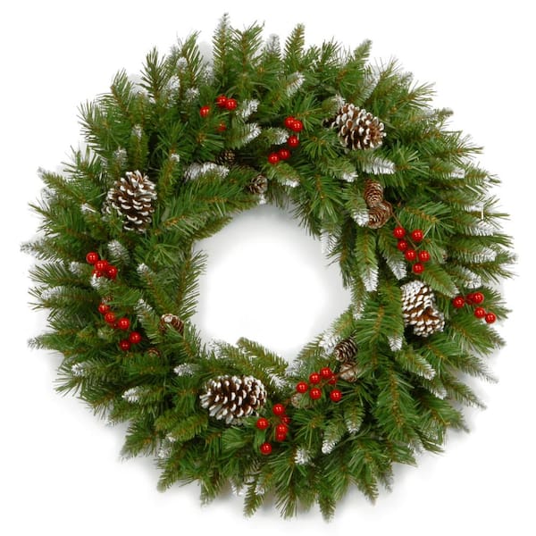National Tree Company Frosted Berry 24 in. Artificial Wreath