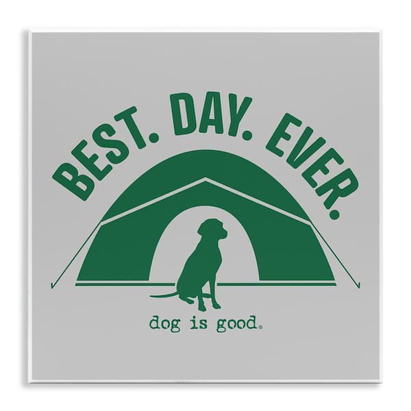Stupell Industries Best Day Camping Dog by Dog Is Good Unframed Animal Graphic Art Print 12 in. x 12 in.