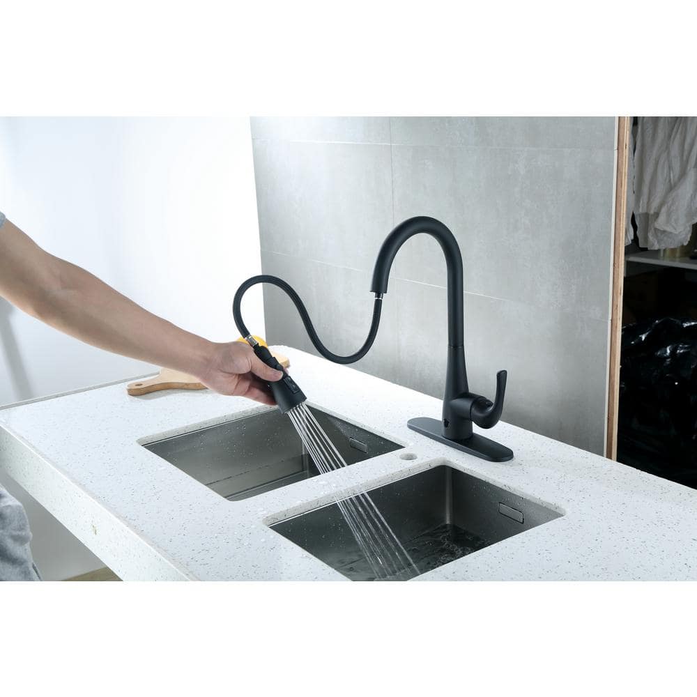 Leeds Matte Black Stainless Steel Pull-Down Kitchen Faucet