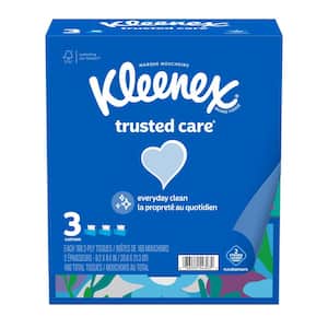 Trusted Care 2-Ply Facial Tissue (12-Pack 160-Sheets Per Box)