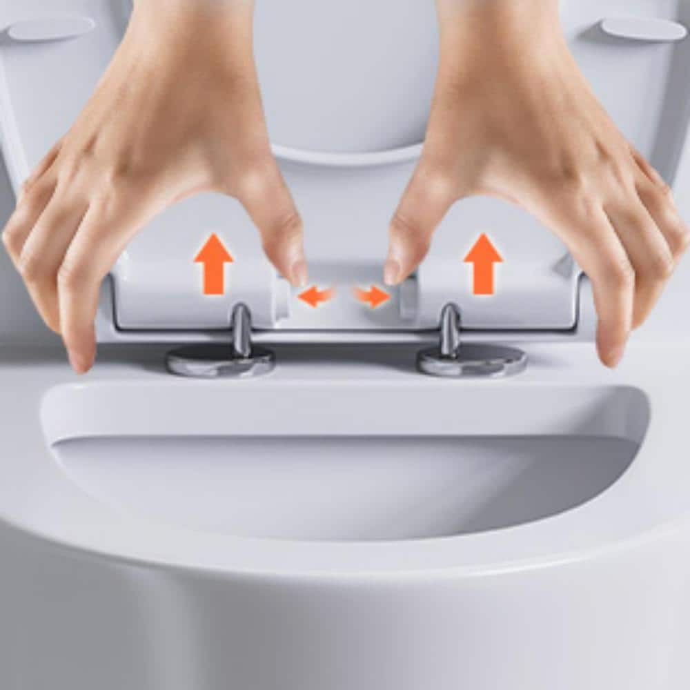 Matte White Elongated Dual Flush One-Piece Toilet