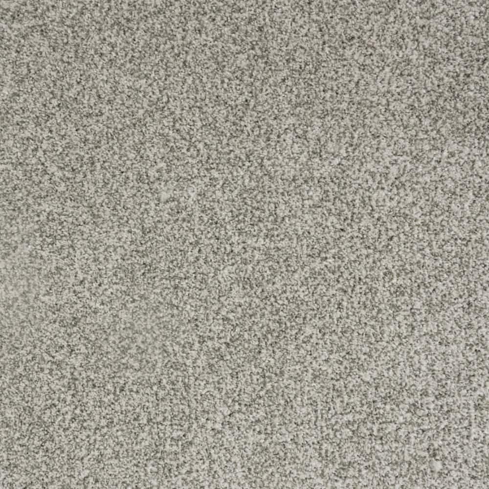 8 in. x 8 in. Texture Carpet Sample-Lurelin-Color Vision price history on PriceWatchPro