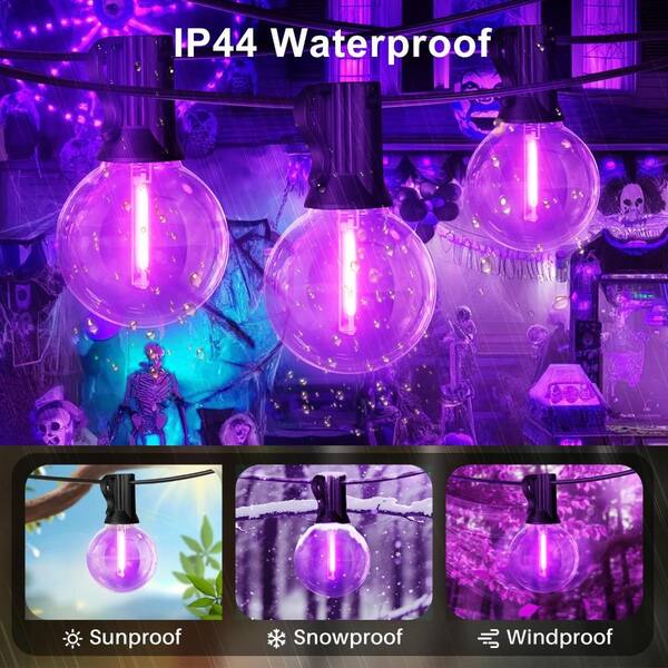 26FT Purple String Lights - 12+1 Edison Bulbs(1 Spare), UL