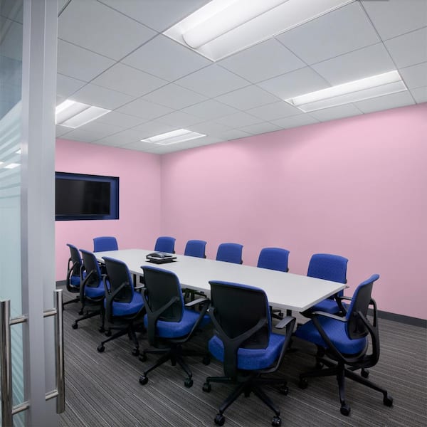 5 gal. #M120-3 Pink Wink Dead Flat Interior Paint