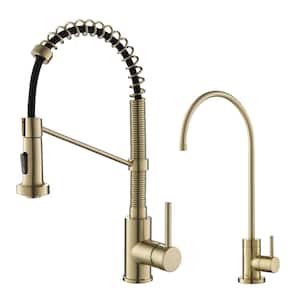 Bolden Commercial 1-Handle Pull-Down Kitchen Faucet and Purita Water Filtration Faucet in Brushed Gold